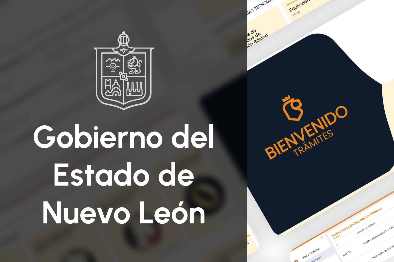 Portal de Impuestos y Pagos Gubernamentales